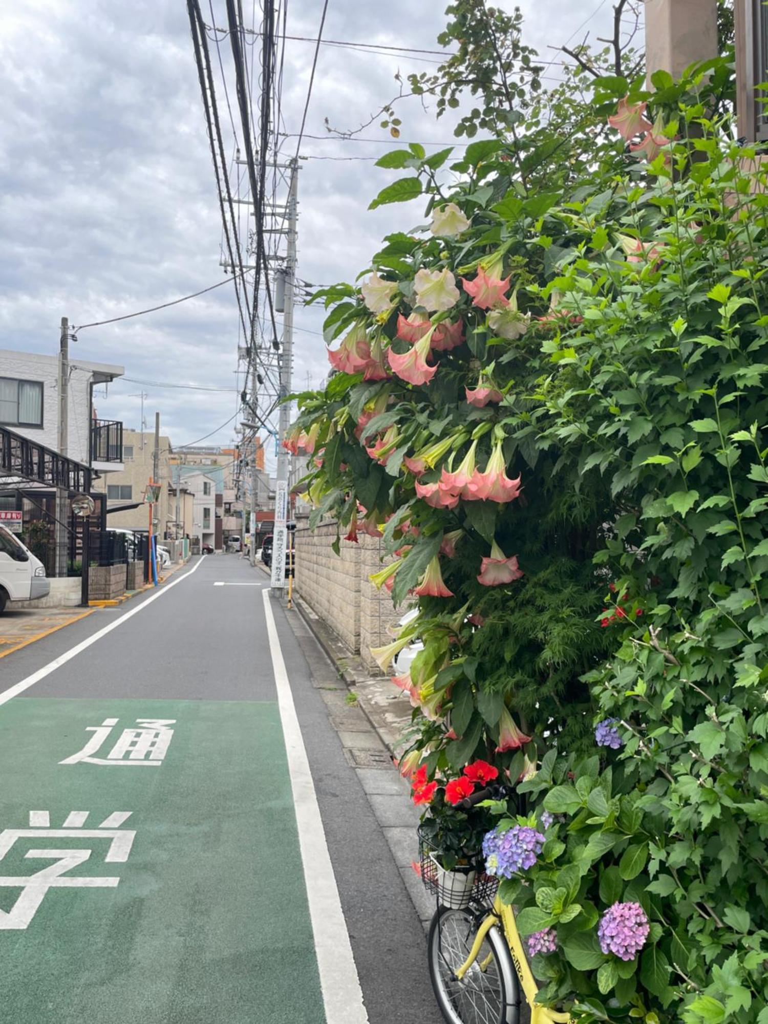 新宿庭院の屋-Shinjuku Garden Home -28 Square Meters King Size Bed Garden Room Tokio Exterior foto