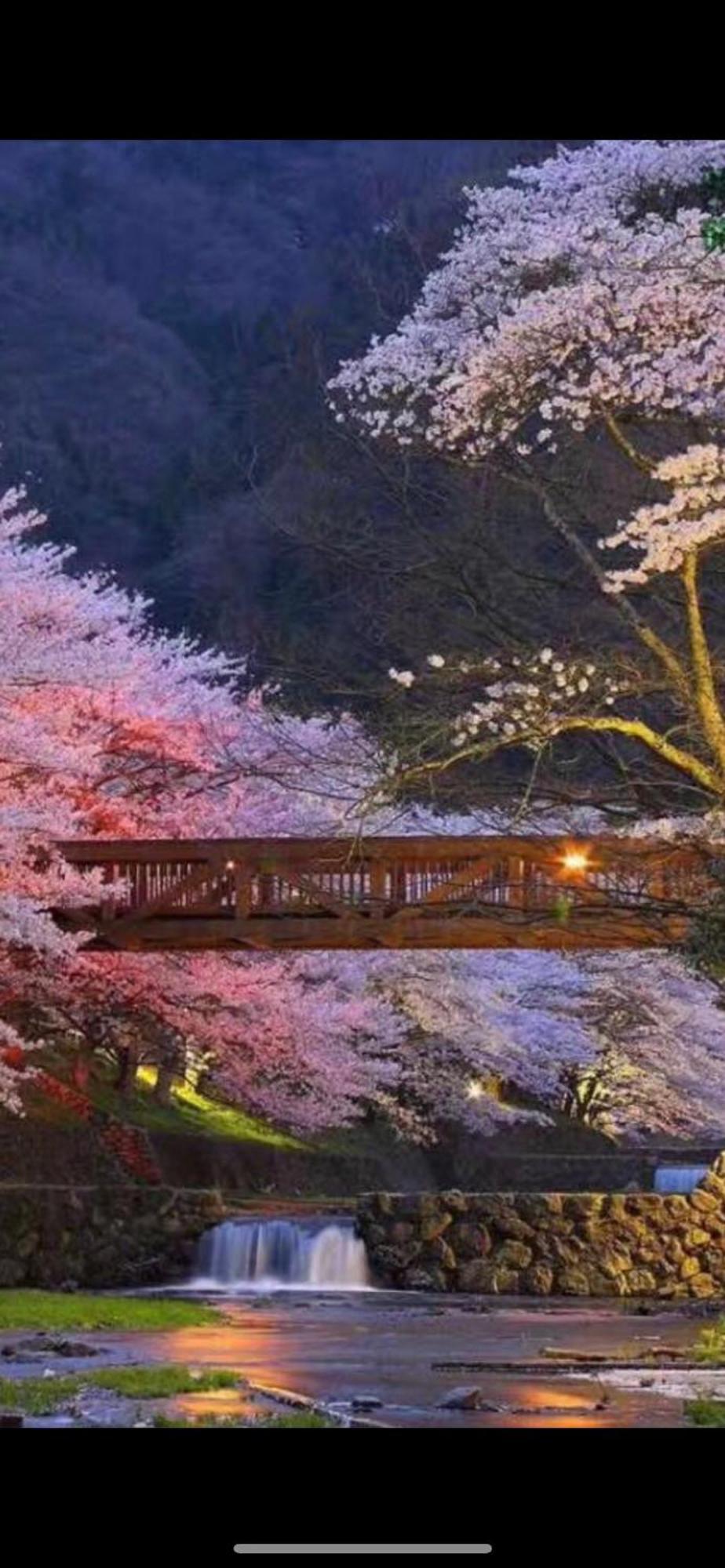 新宿庭院の屋-Shinjuku Garden Home -28 Square Meters King Size Bed Garden Room Tokio Exterior foto