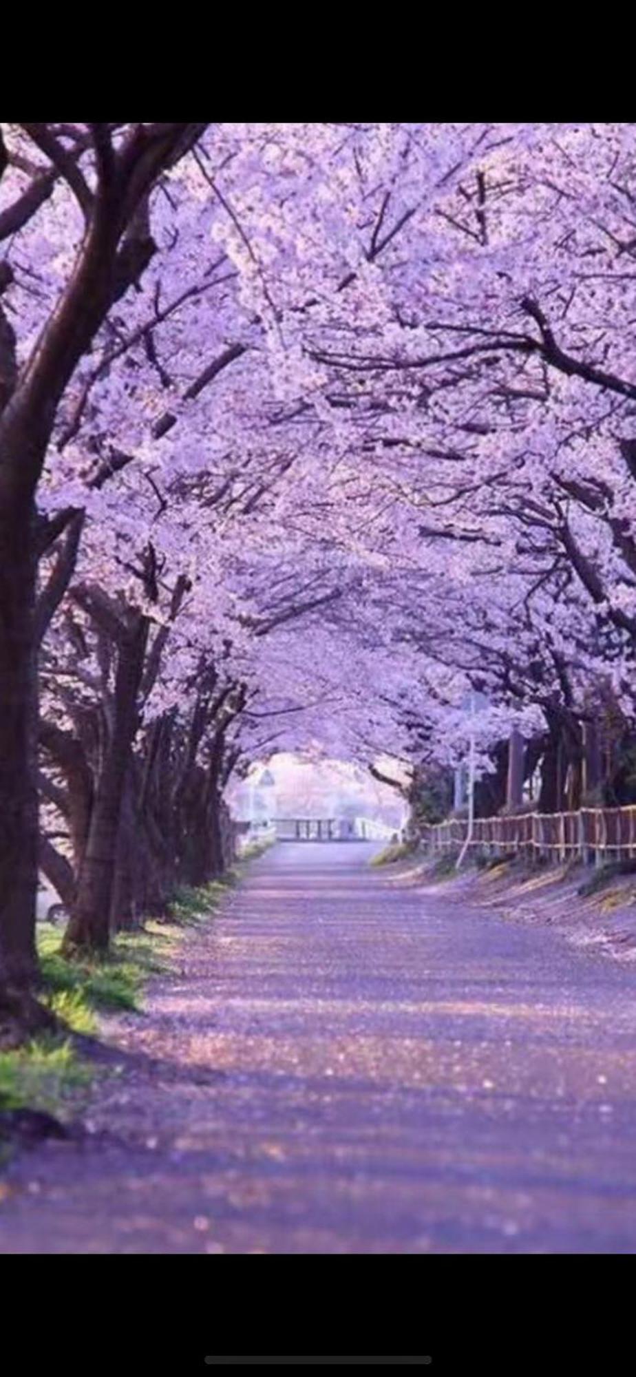新宿庭院の屋-Shinjuku Garden Home -28 Square Meters King Size Bed Garden Room Tokio Exterior foto