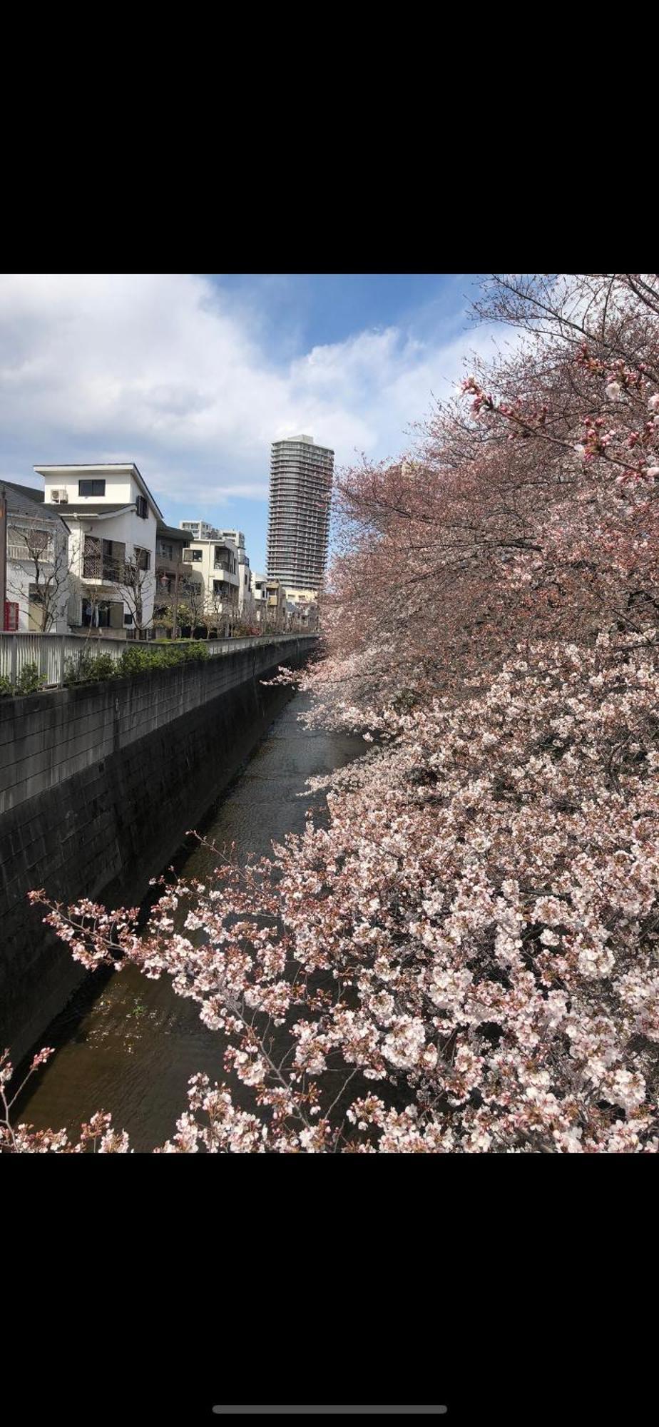 新宿庭院の屋-Shinjuku Garden Home -28 Square Meters King Size Bed Garden Room Tokio Exterior foto
